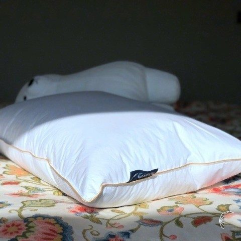 种草失眠党帮手——OBB鹅绒枕测评